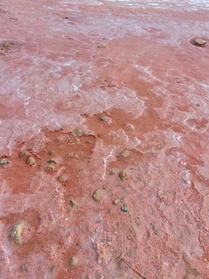 西澳粉紅湖Hutt Lagoon